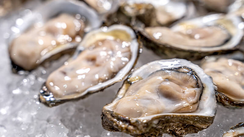 A tray of oysters on ice