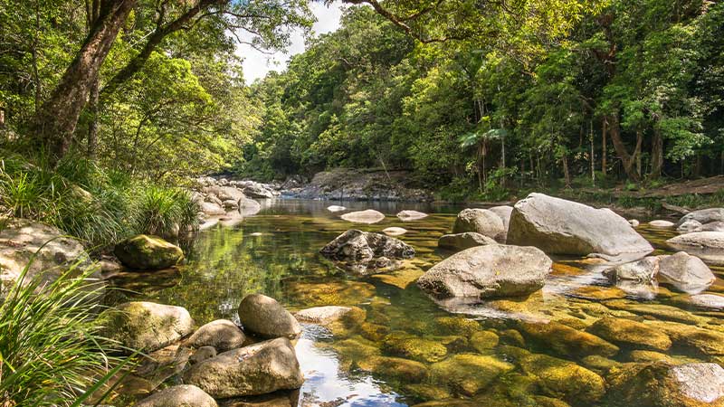 Mossman Gorge in the Daintree.