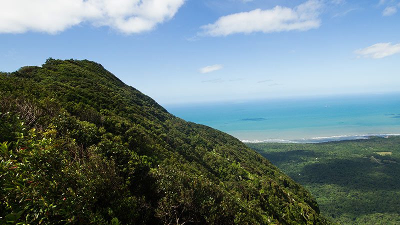View from the top of Mount Sorrow in the Daintree.