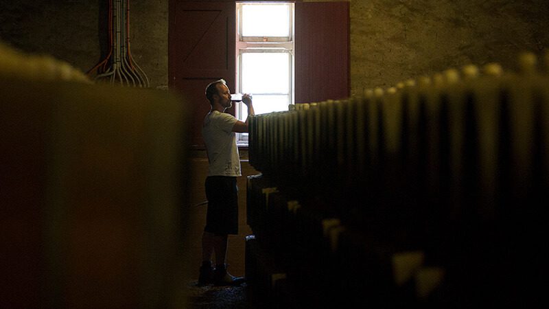 A person wine tasting next to barrels in Yalumba Winery