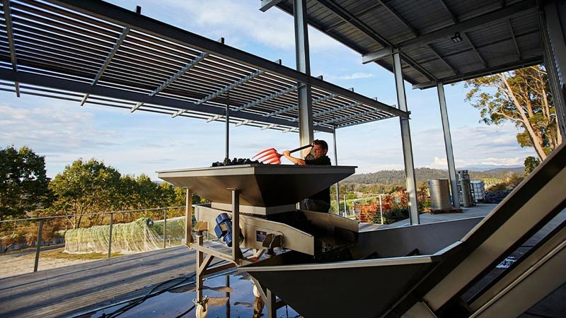 Moores Hill Estate's sustainable practices when it comes to winemaking.