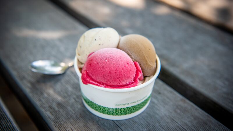Ice cream from along The Daintree Food Trail.