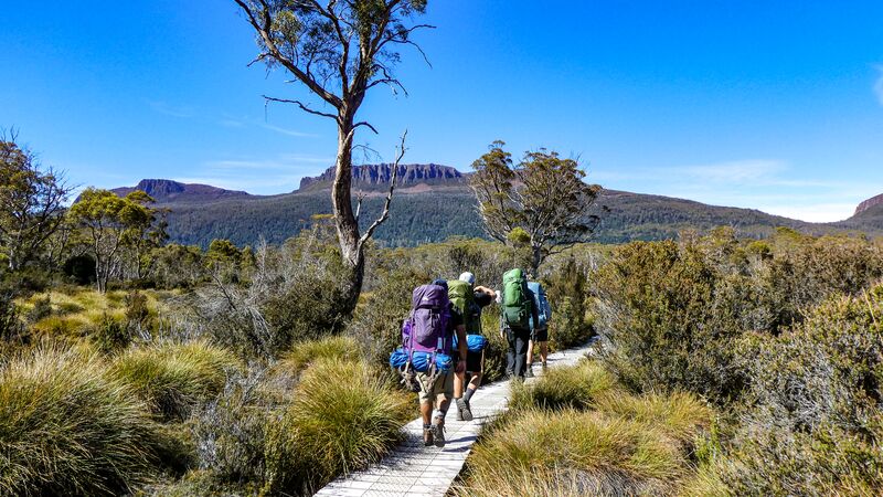 Three travellers walking along the Overland Track in Cradle Mountain, Tasmania. 