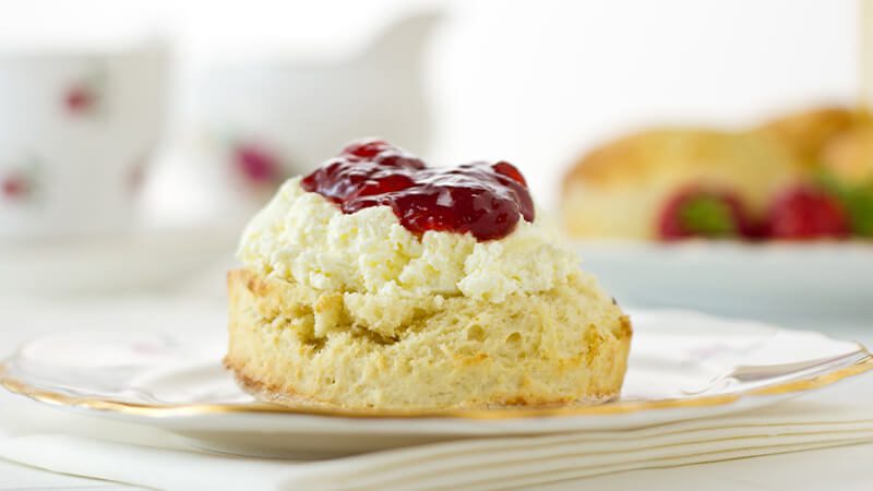 A Devonshire cream tea scone