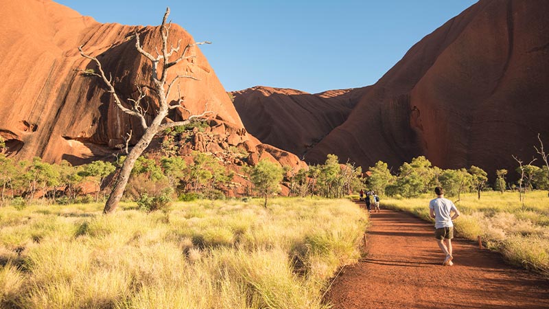 Traveller walking through the Uluru-Kata Tjuta National Park. 