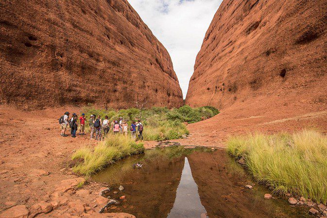 Uluru tour group in Walpa Gorge
