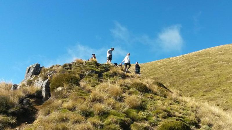 St. Arnaud Range Track in Nelson.