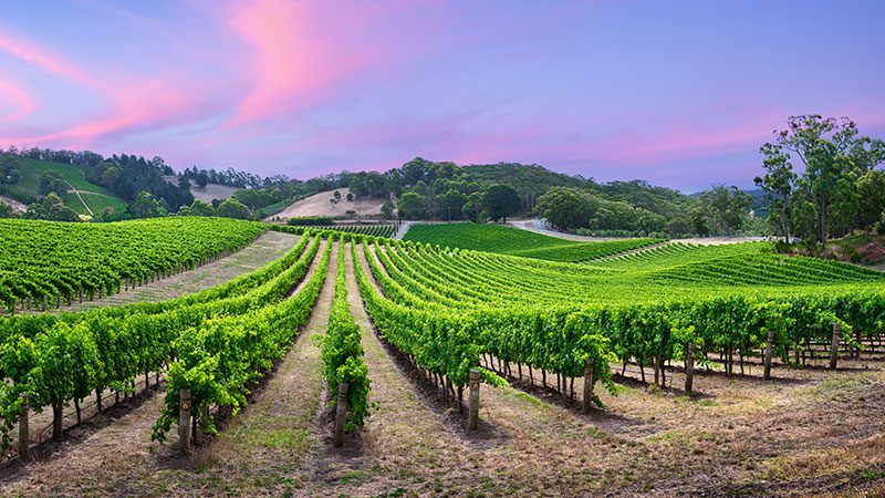 Port Augusta to Adelaide: A Travel Guide | Intrepid Travel Blog Port Augusta to Adelaide: A Travel Guide | Intrepid Travel Blog