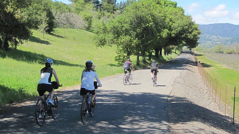 Cycling in Sonoma