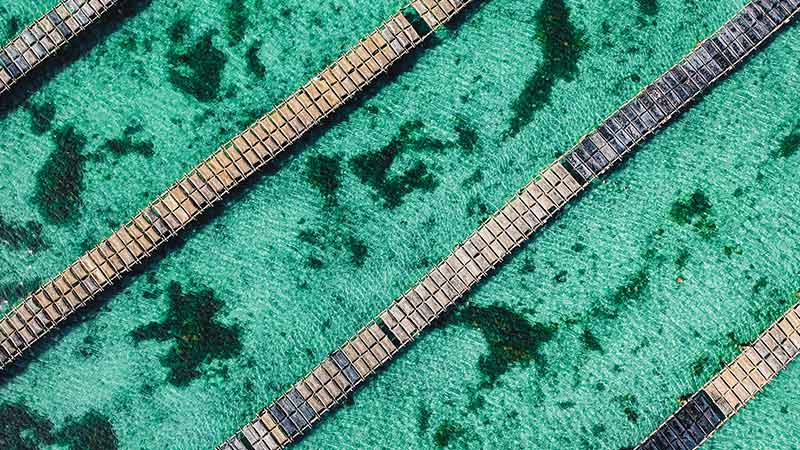 An aerial view of an oyster farm on the Eyre Peninsula, SA