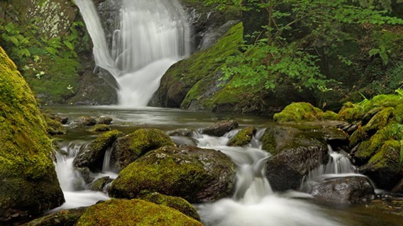 Dolgoch Falls in Snowdonia National Park, Wales. 