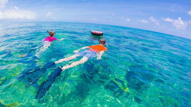 things to do in south florida - Key West's Tropical Escapes