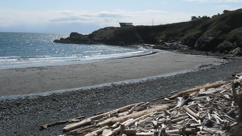 Eagle Cove in the San Juan Islands.