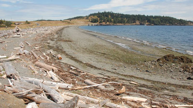 Jackson Beach in the San Juan Islands.