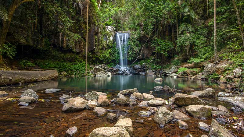 Curtis Falls