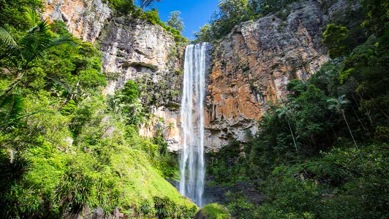 Purlingbrook Falls at Springbrook National Park