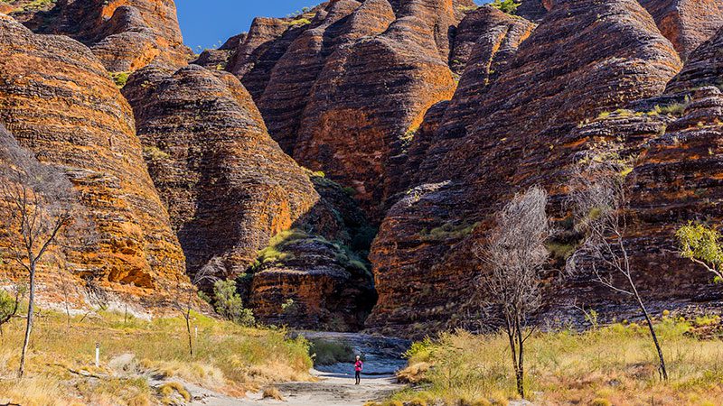 Traveller looking up at the Bungle Bungles in Purnululu National Park