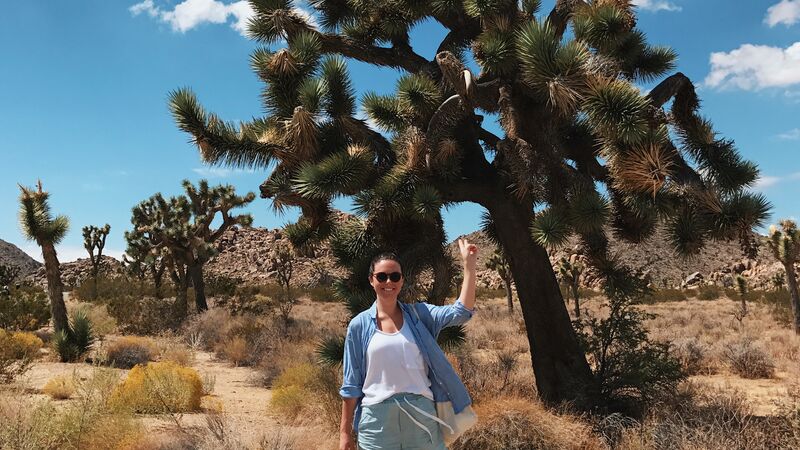 Traveler standing in front of a desert cactus in Joshua Tree National Park. 