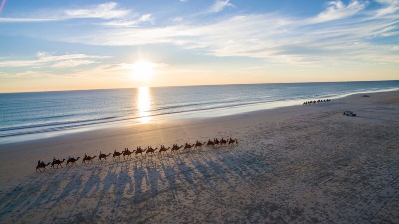 A group of camels walking along Cable Beach in Broome.