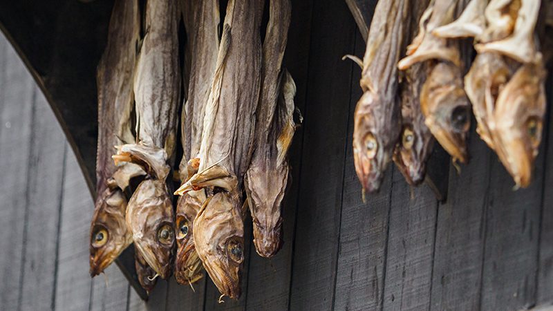 A traditional Faroese food of fermented fish 