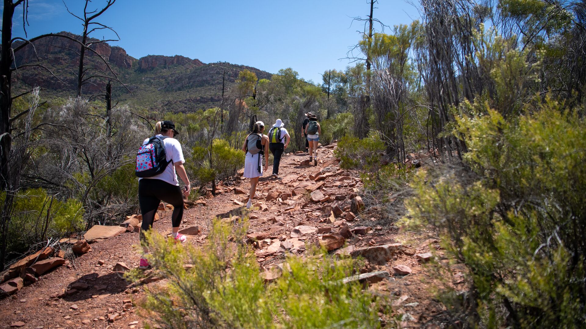 A group of hikers walk up a rocky incline in Flinders Rangers National Park.