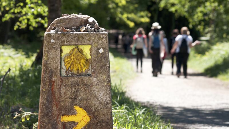 Pilgrims on the Camino de Santiago