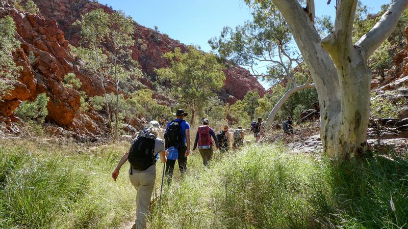 Larapinta Trail Intrepid Australia