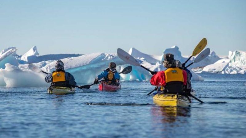 A group of kayakers moving through the water among floating icebergs.