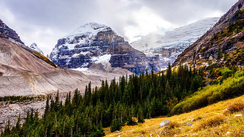 The forested valley surrounded by glaciers and snow-covered mountains.