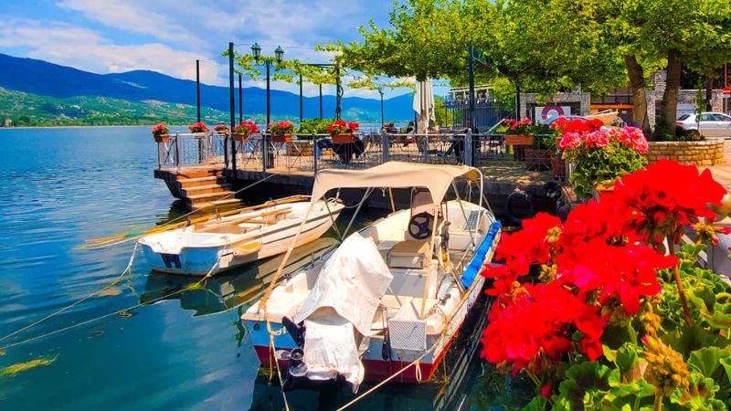 A small boat moored in a quaint harbour beside a bush covered in red flowers