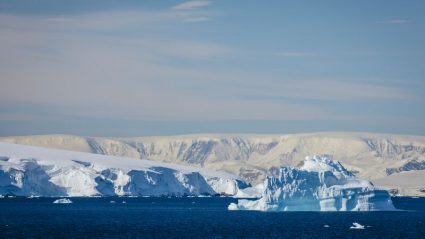 antarctica trip cost