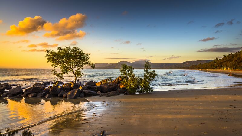 A beach in Port Douglas at sunset