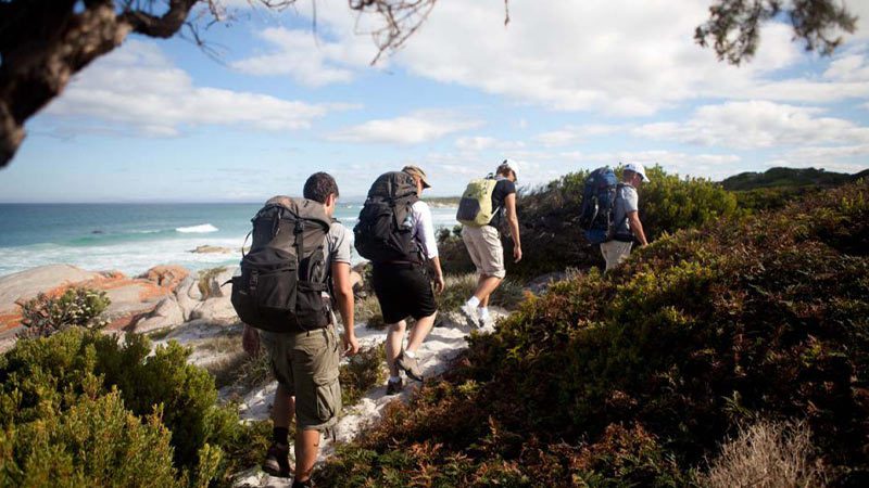 Four travellers walking along a sandy path beside greenery on the Bay of Fires Lodge walk. 