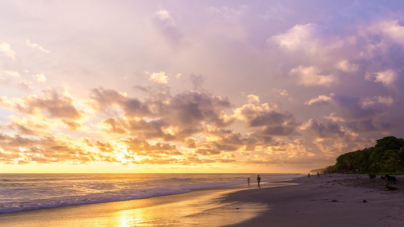 A beautiful sunset at the beach