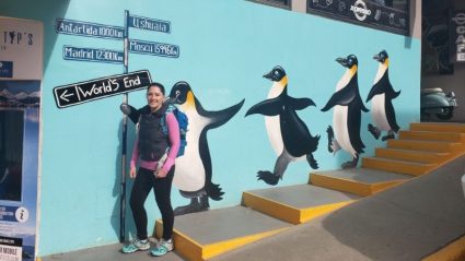 antarctica tours antarctica tours