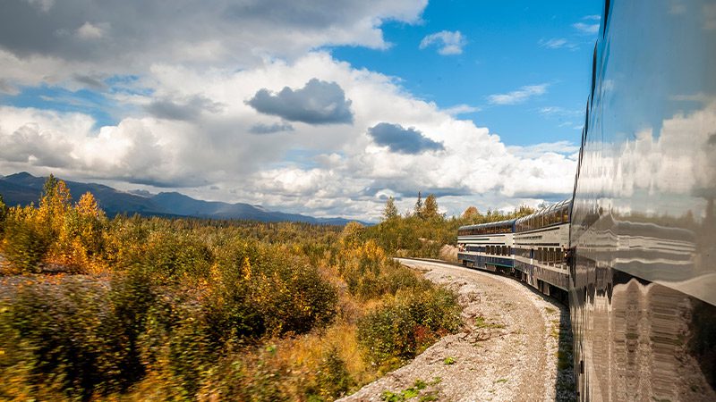 A train winds past a forest of autumnal trees