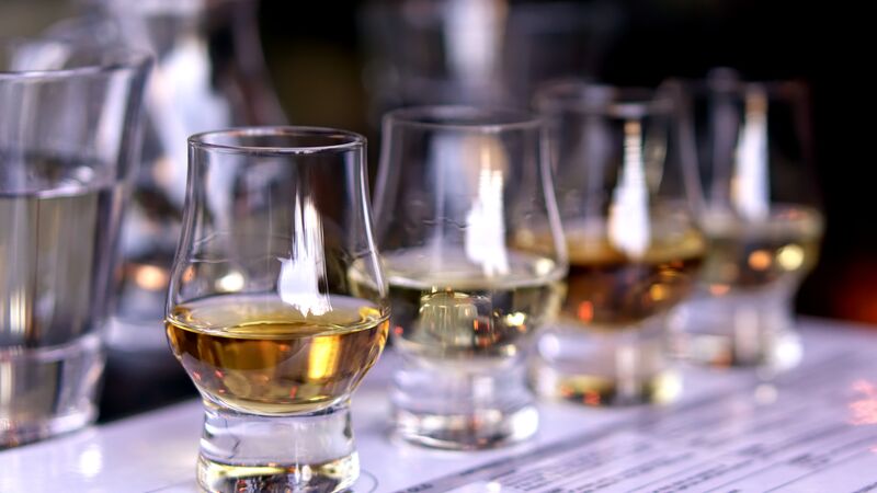A collection of whisky glasses all with amber coloured whisky inside.