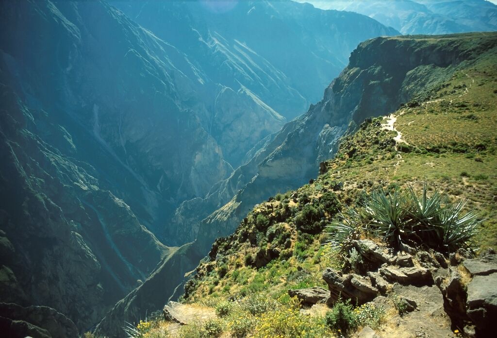 A view down into Colca Canyon, Peru.