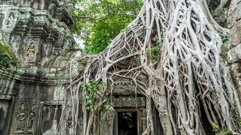 The intricate details of the temple at Angkor Wat.