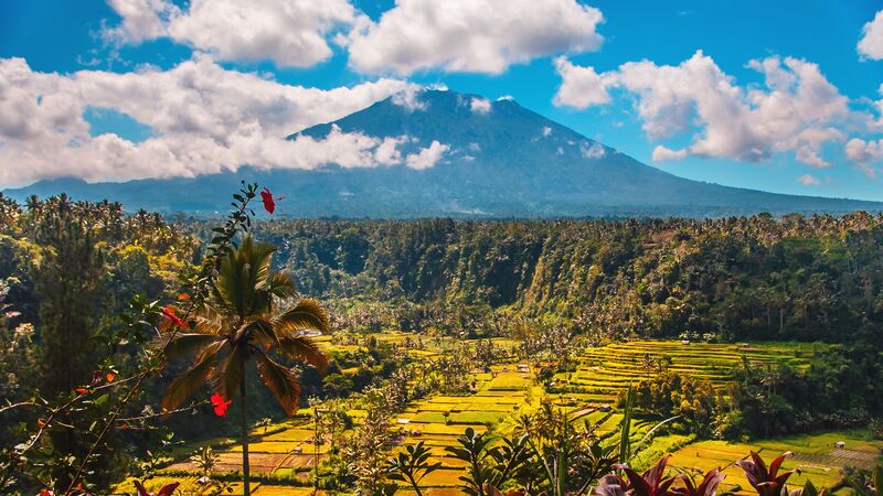 Bright green rice terraces with the rising figure of Mt. Algung in the distance.