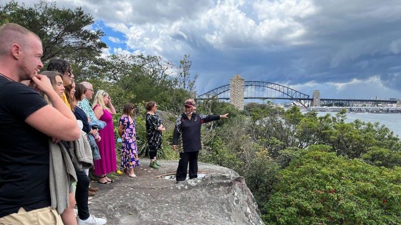 A group of people standing on a rock looking out over Sydney Harbour