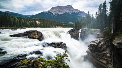 trekking camping trip