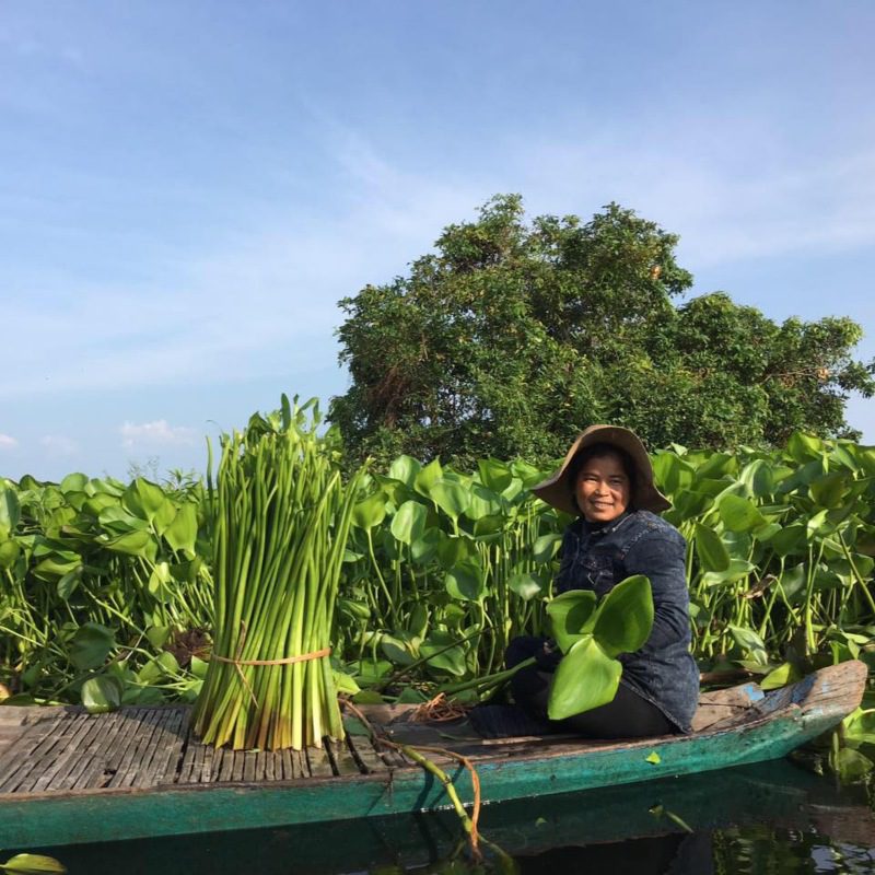 A woman sitting in a boat alongside a bundle of water hyacinth