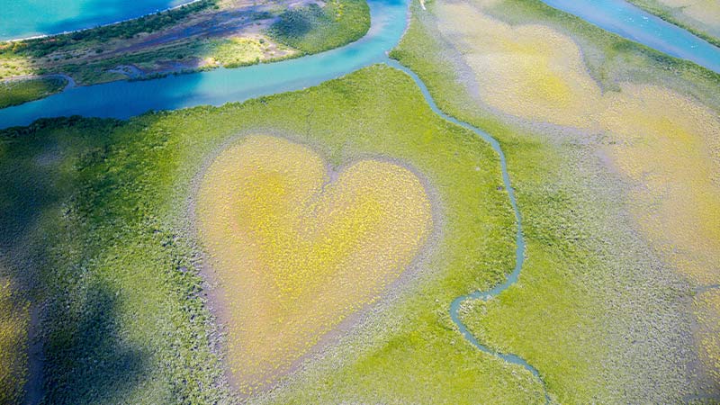 An aerial view of the heart shaped mangrove in New Caledonia.