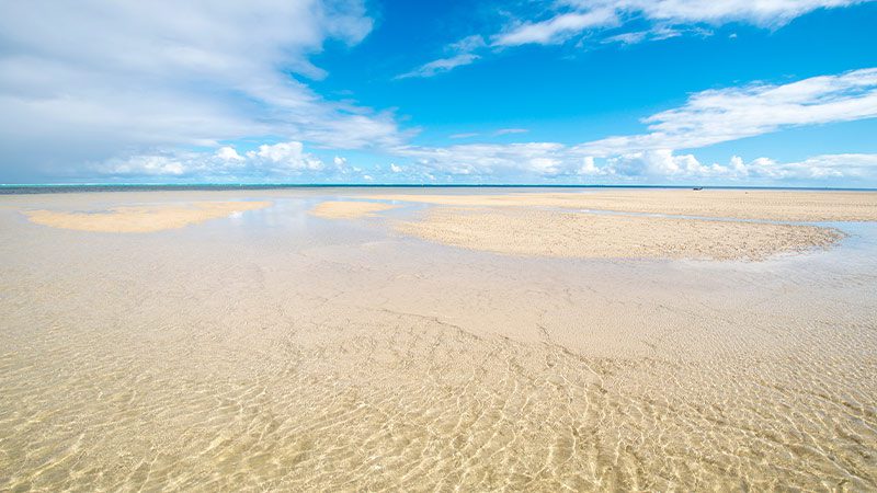 The clear water and golden sand of Poe Beach in New Caledonia. 