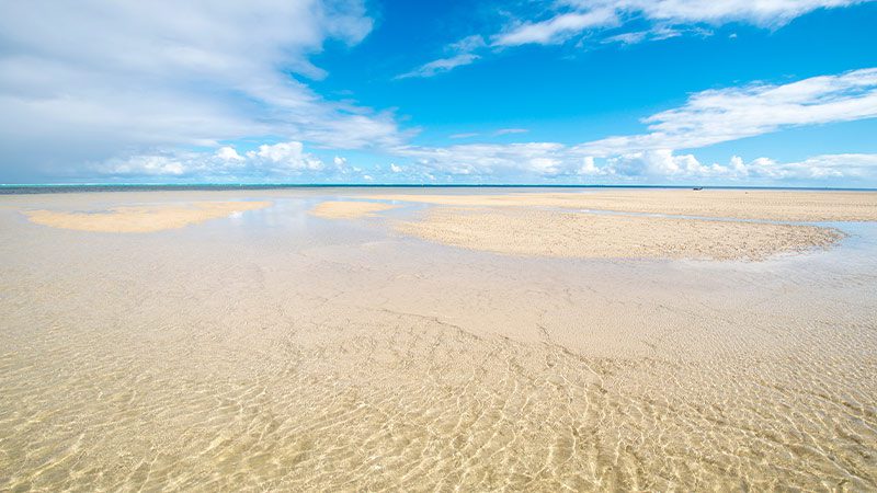 The clear water and golden sand of Poe Beach in New Caledonia.
