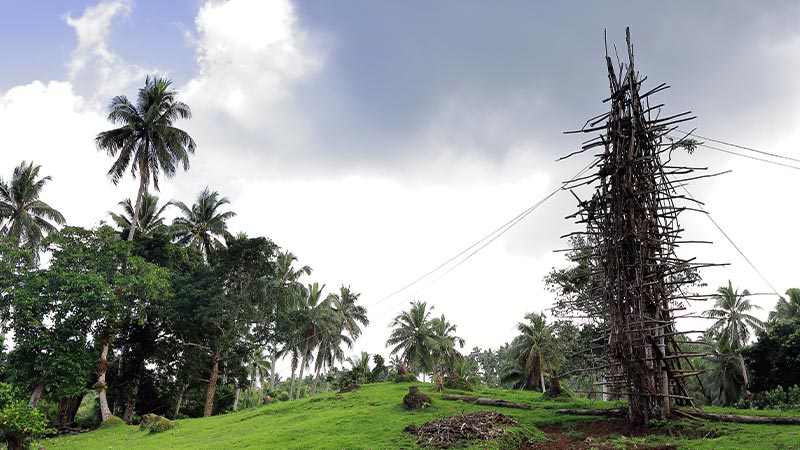 The wooden structure used for the land diving festival in Vanuatu.