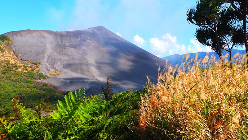The imposing figure of Mount Yasur overlooking an area of wilderness.