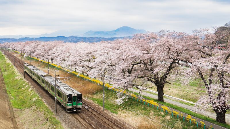 travel to china from japan