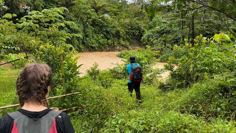 gunung leuser trek